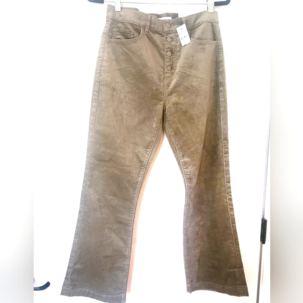 LOFT kick crop velvet pants new with tags